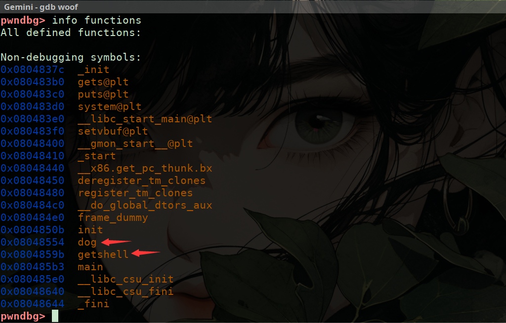 lq2d73tm.png