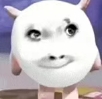墩墩